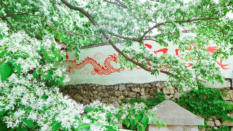 IMG_3471[1]_副本.jpg